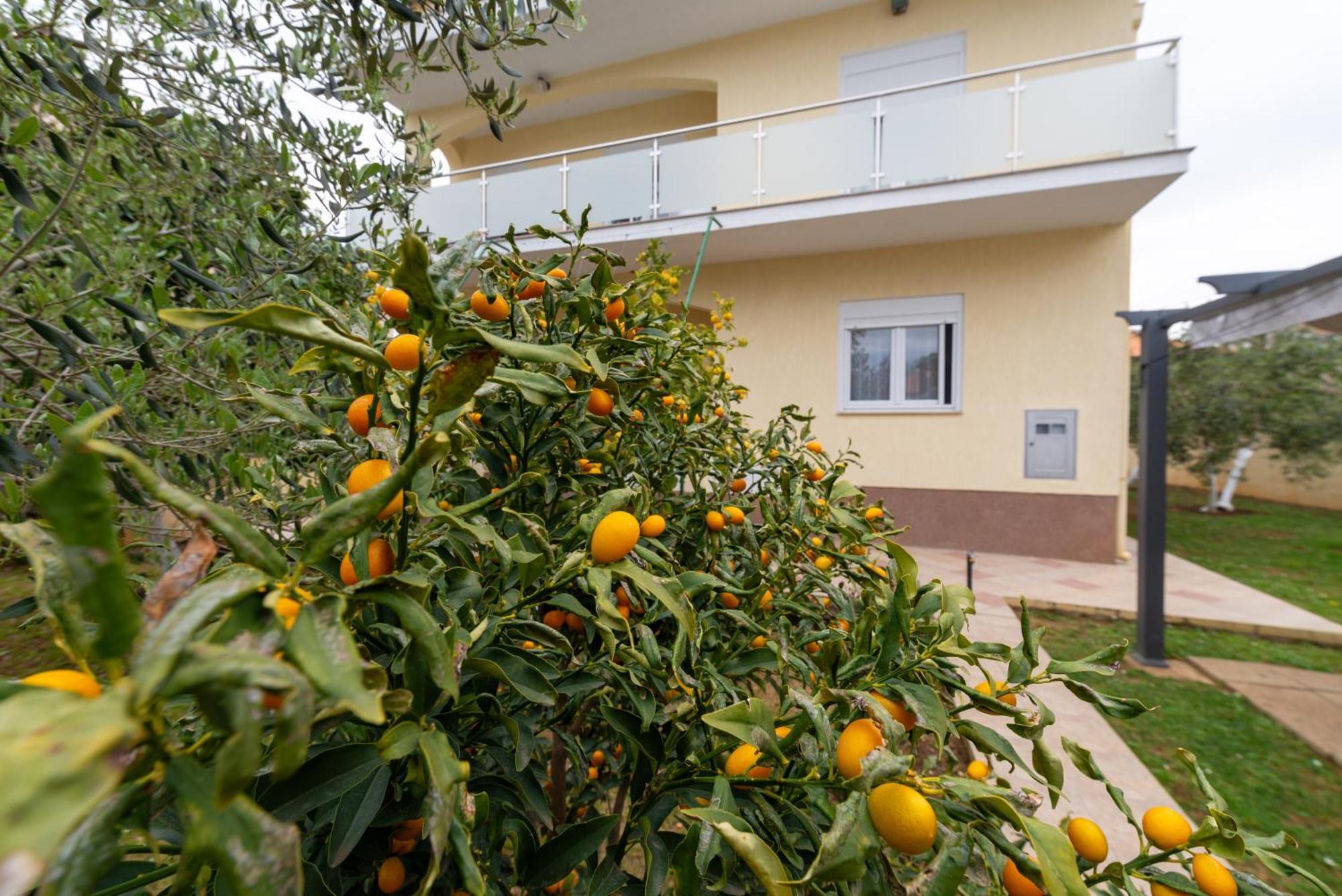 Villa K&F Borik Zadar Exterior photo